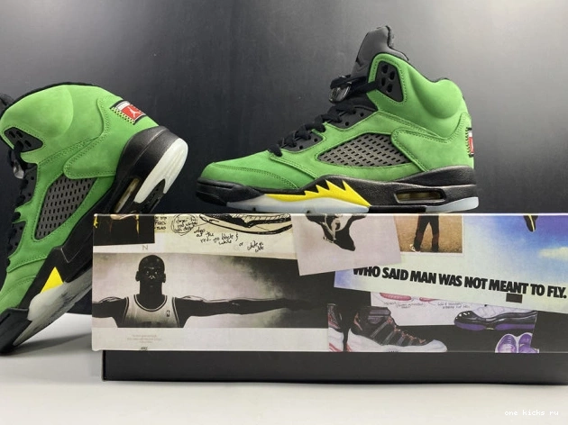 Chep Onekick SE Jordan Air Ducks Oregon 5 CK6631-307 0531